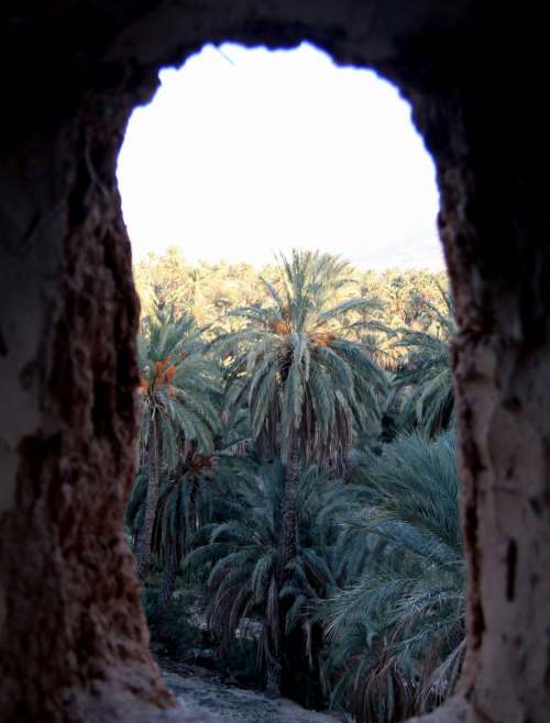 Rhoufi Biskra Sirius Algeria Sidi Okba