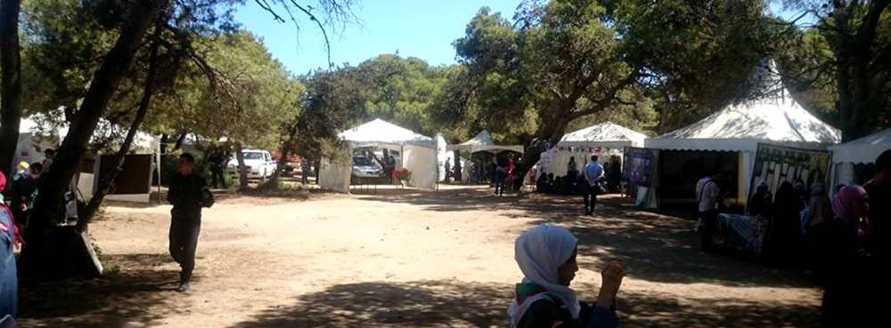 kashafa Sirius Scout Camp Zemmouri Astronomy