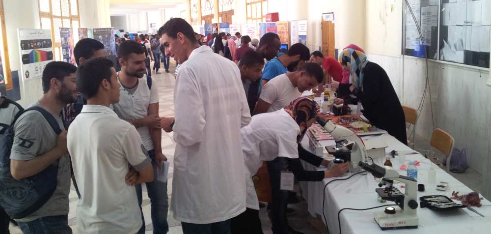 Ouargla Sud Science Algeria Light 2015