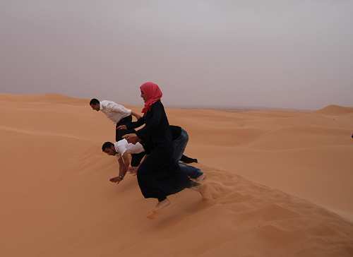 Ouargla IYL 2015 Salon Science