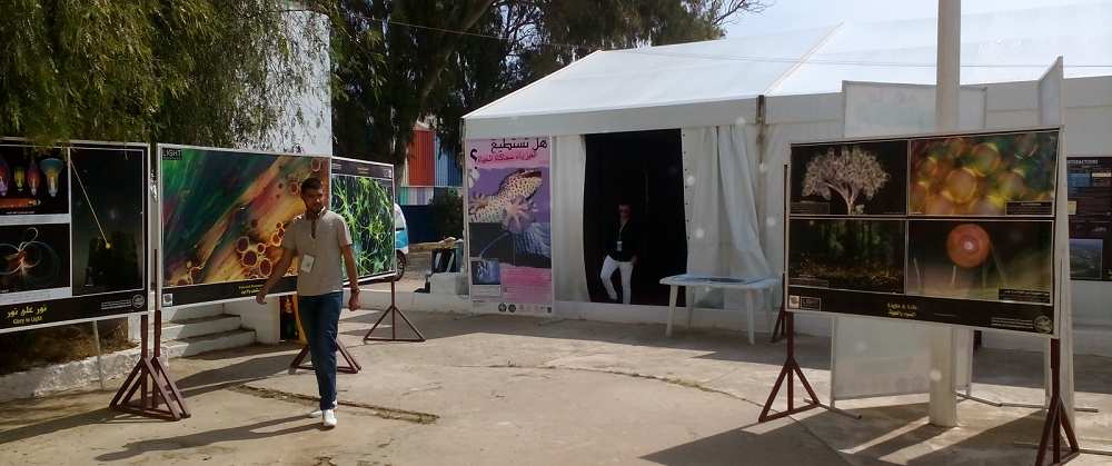 Direction Recherche DGRSDT Scientifique 2017 Algiers SAFEX Sirius Science
