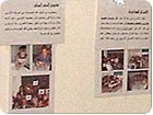 Part of Starshine explanatory panels